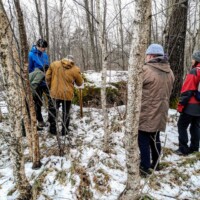 Pudrumägi 06.04.2024