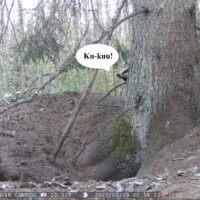 Mägrapeitus (09.05.2025)