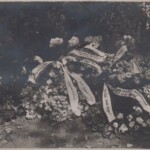 Arnold Lamberg'i hauaplats, 1925. aastal (Katrin Müürsepa kogust).