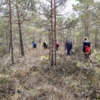 Lüdrestisoo (27.04.2024)