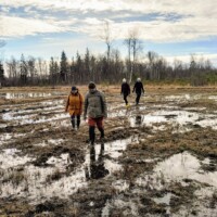 Niitvälja soo (09.03.2025)