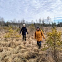 Niitvälja soo (09.03.2025)