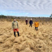 Niitvälja soo (09.03.2025)