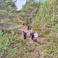 Kirnu- ehk Kiimsoo (21.09.2025)