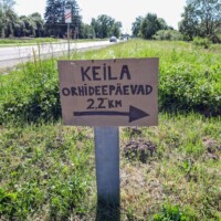 Keila Orhideepäevad 2024 (Kadri Aller)