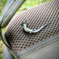 Keila Orhideepäevad 2024 (Kadri Aller)