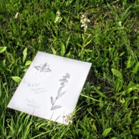 Keila Orhideepäevad 2024 (Kadri Aller)