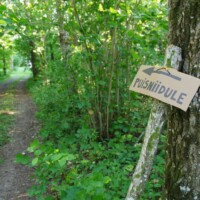 Keila Orhideepäevad 2024 (Valdur Vacht)