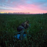 Öine luharetk rukkirääkudega (12.06.2026)